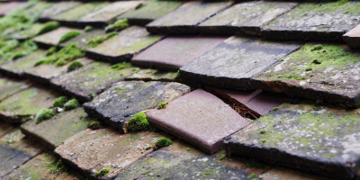 Gorefield roof repair costs
